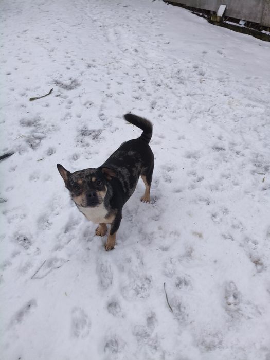 Мальчик метис подросток