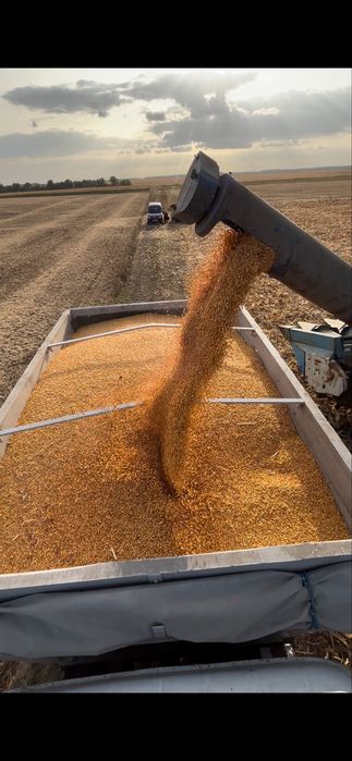 Продаєця комбайн  єнисей 950