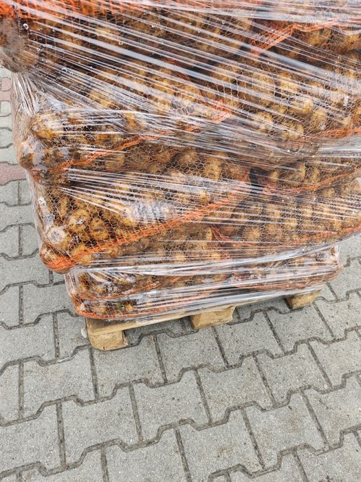 Ziemniaki młode bardzo smaczne.