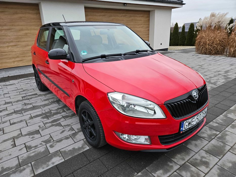 1.2 Benzyna / Monte Carlo / 2013r/Niski przebieg 174Tyś /Piękny wygląd