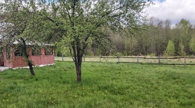 Будинок біля лісу та озера. Гута Ткачова.