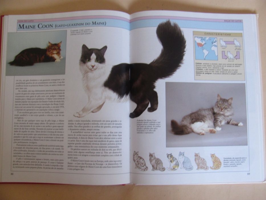 Guia do Gato de Marcus Schneck