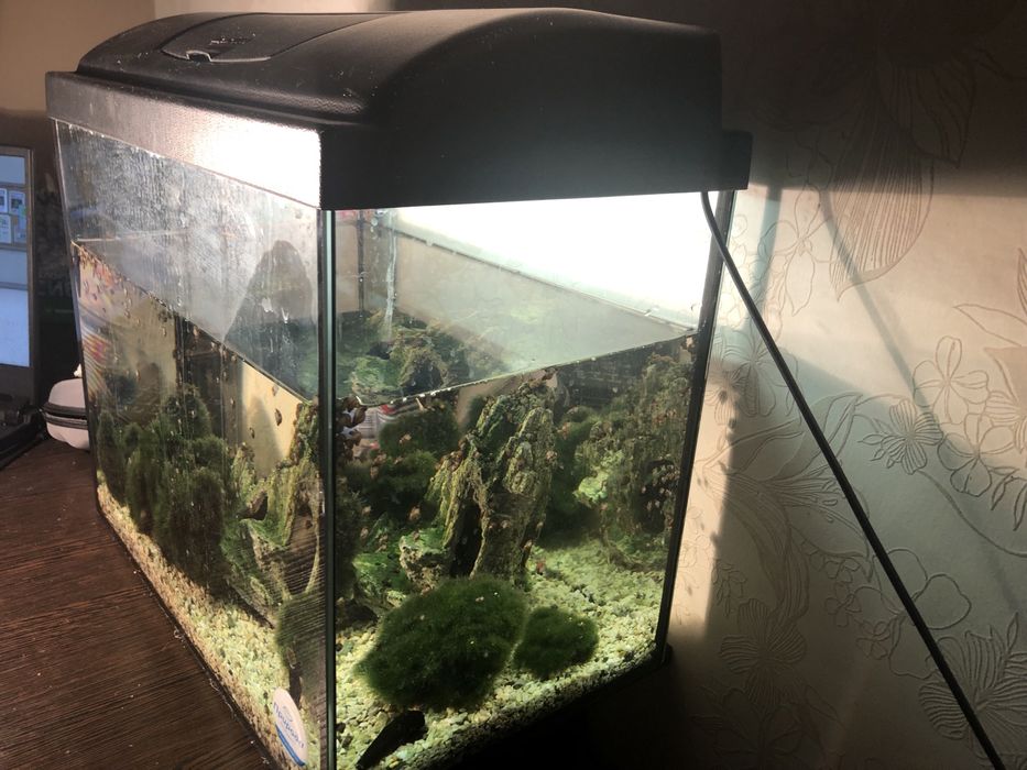 Аквариму 35 литров с крышкой