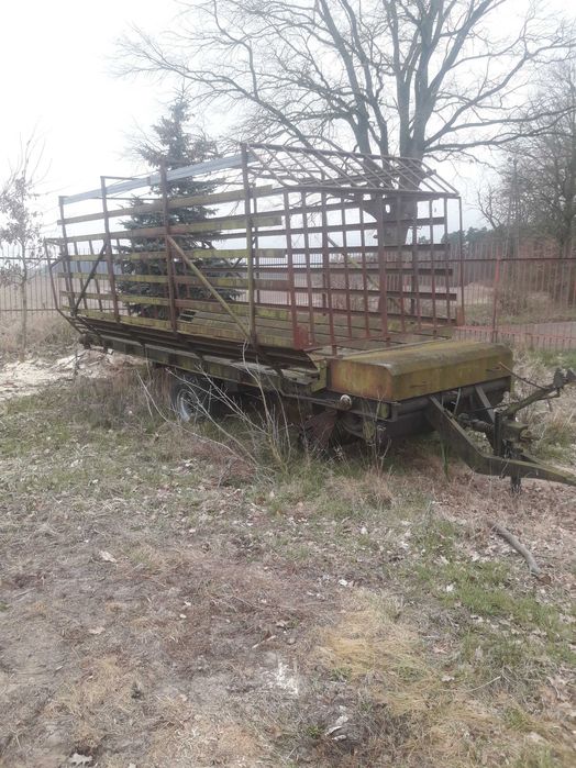 orginalna polska samozbierajaca