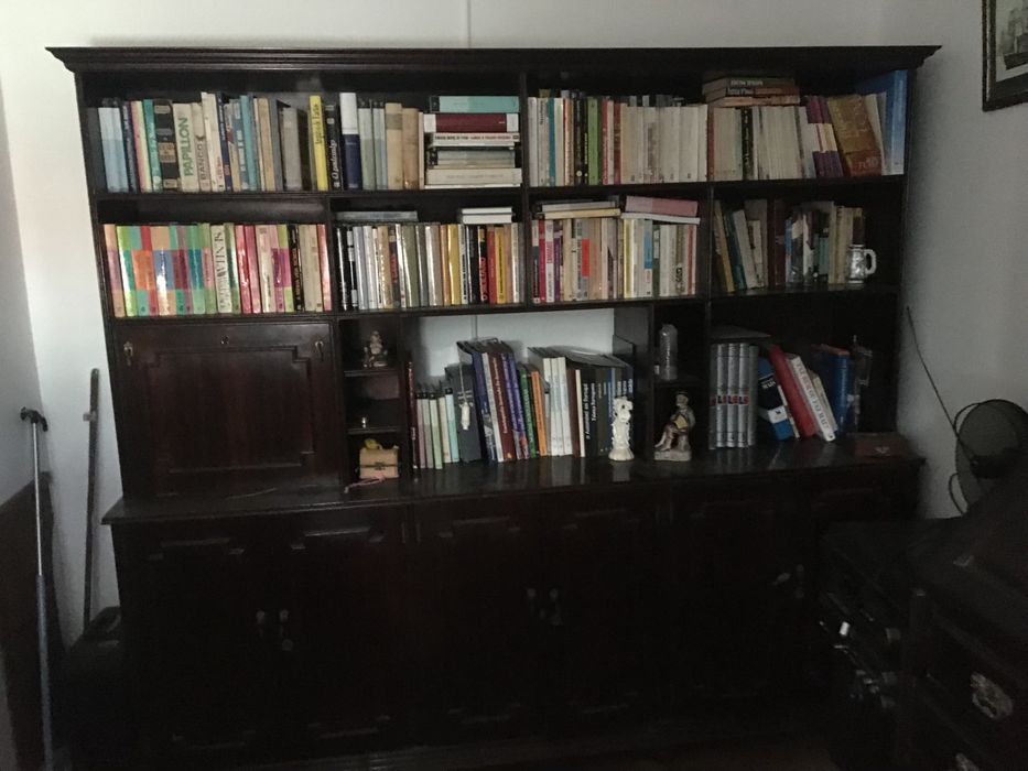 Estante antiga em madeira enverizada