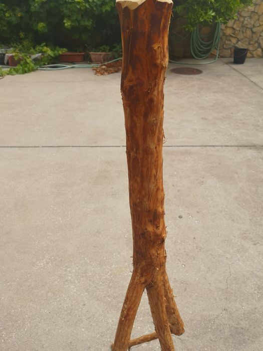 Avestruz Decorativa
