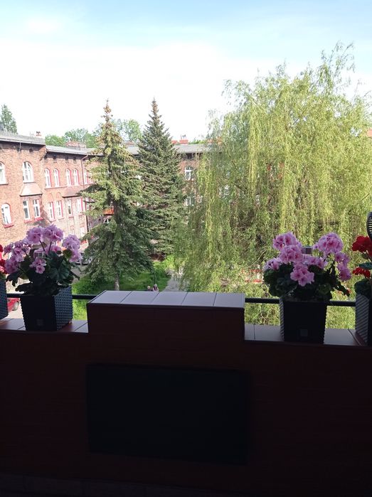 Sprzedam mieszkanie 61,25 m² – Katowice Nikiszowiec (bez pośredników)