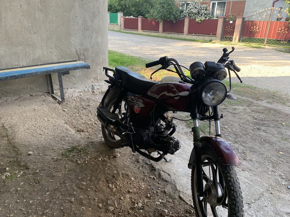 Альфа мустанг 2020