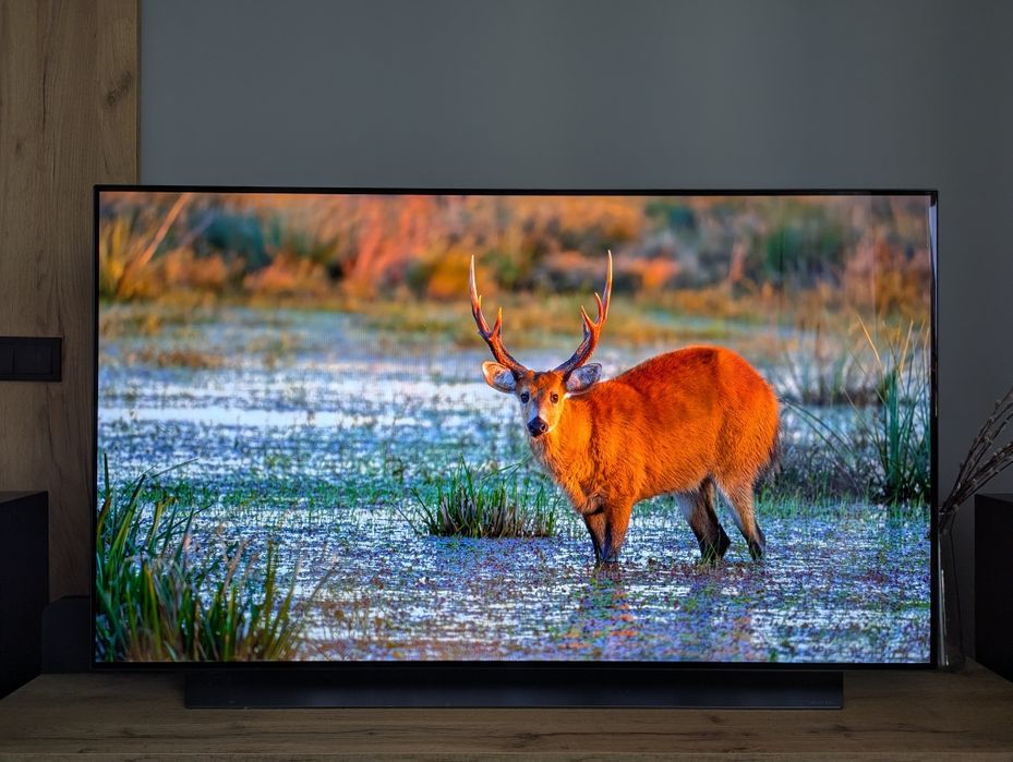 Telewizor Smart TV 55" LG OLED OLED55C11LB 4K HDR10 120Hz FreeSync