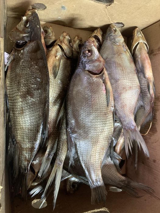 Лещ с икрой и другая речная рыба