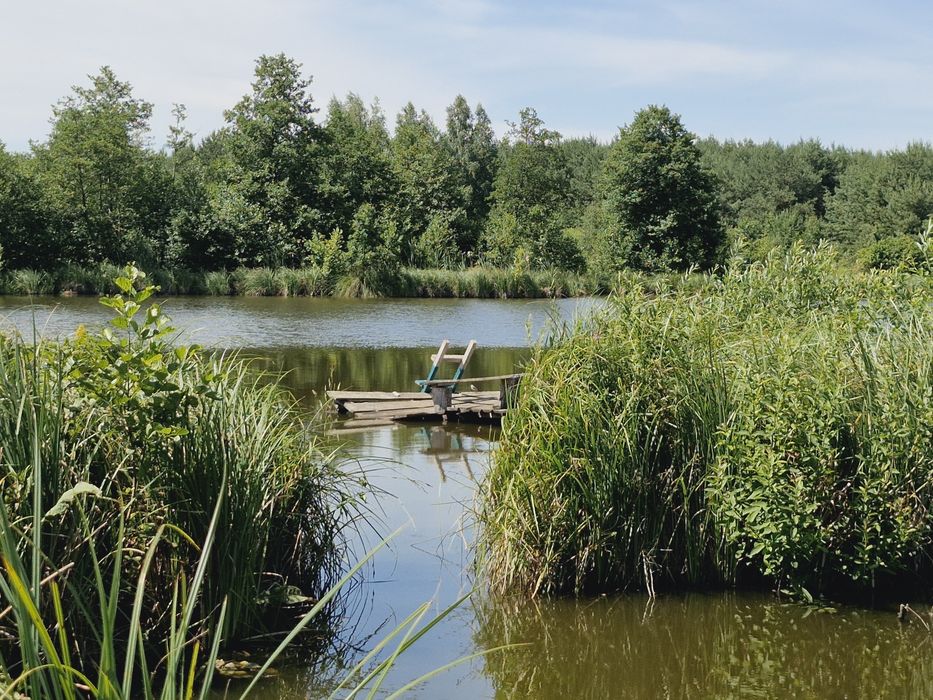 Земельна ділянка з прямим виходом на  водоймище та ліс