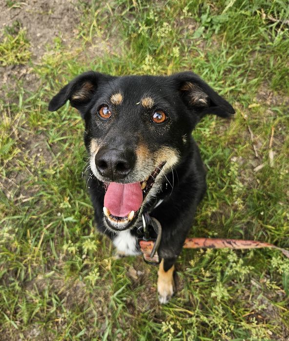 Bambuś – stracił wszystko, ale nie stracił nadziei
