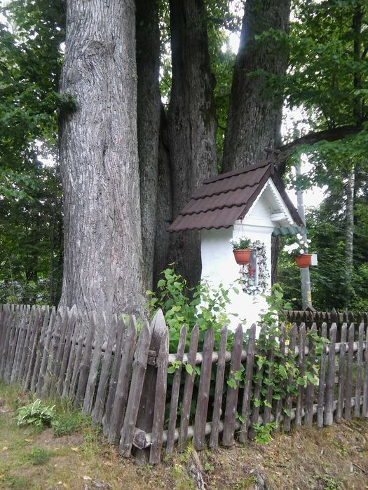 Świt dobry pokoje Bieszczady Strzebowiska