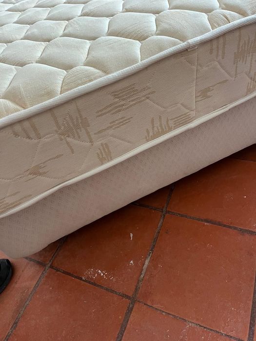 Cama completa 100x200 com colchão Molaflex Mozart – várias disponíveis