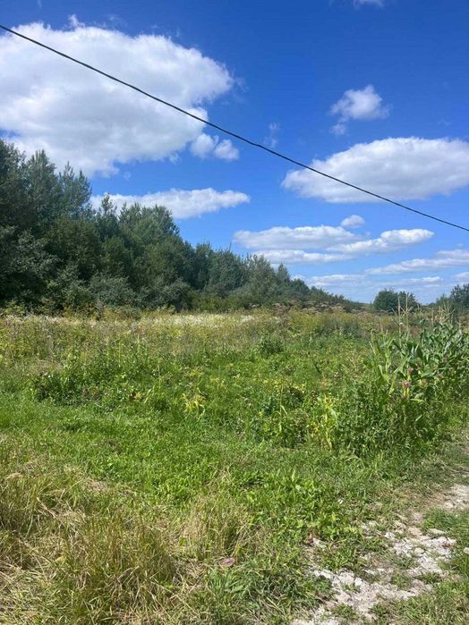Продаж земельної ділянки. Видрові Доли.