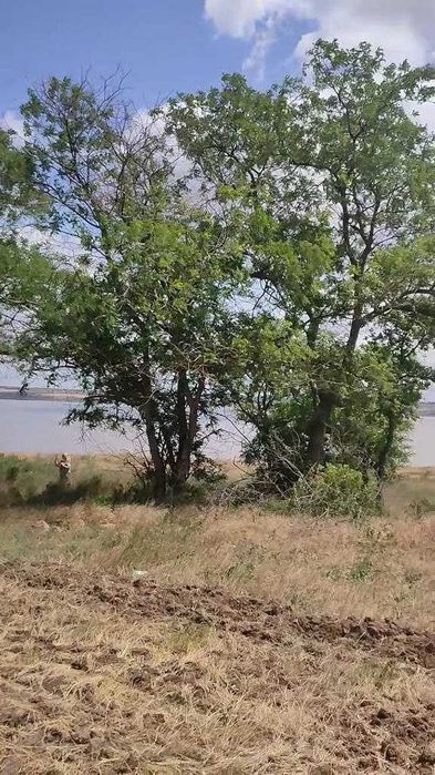 Продам землю 4.5 га в Межлиманьерядом с Одессой