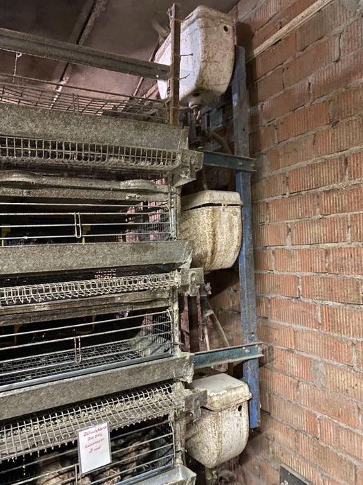 Клетка для перепелов