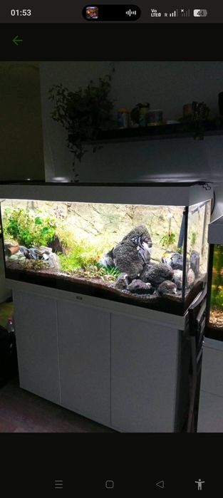 Akwarium Juvel Rio 350