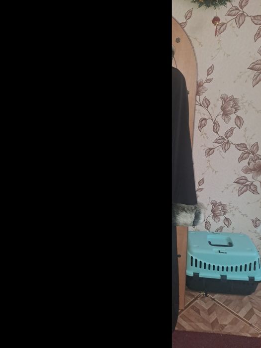 Пальто шиншила  длинное