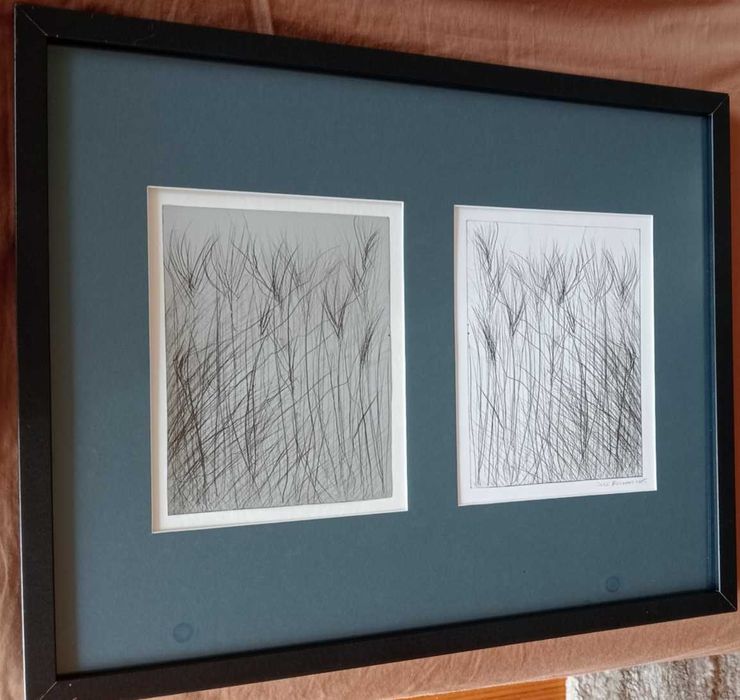 Quadro José Rosinhas 2015