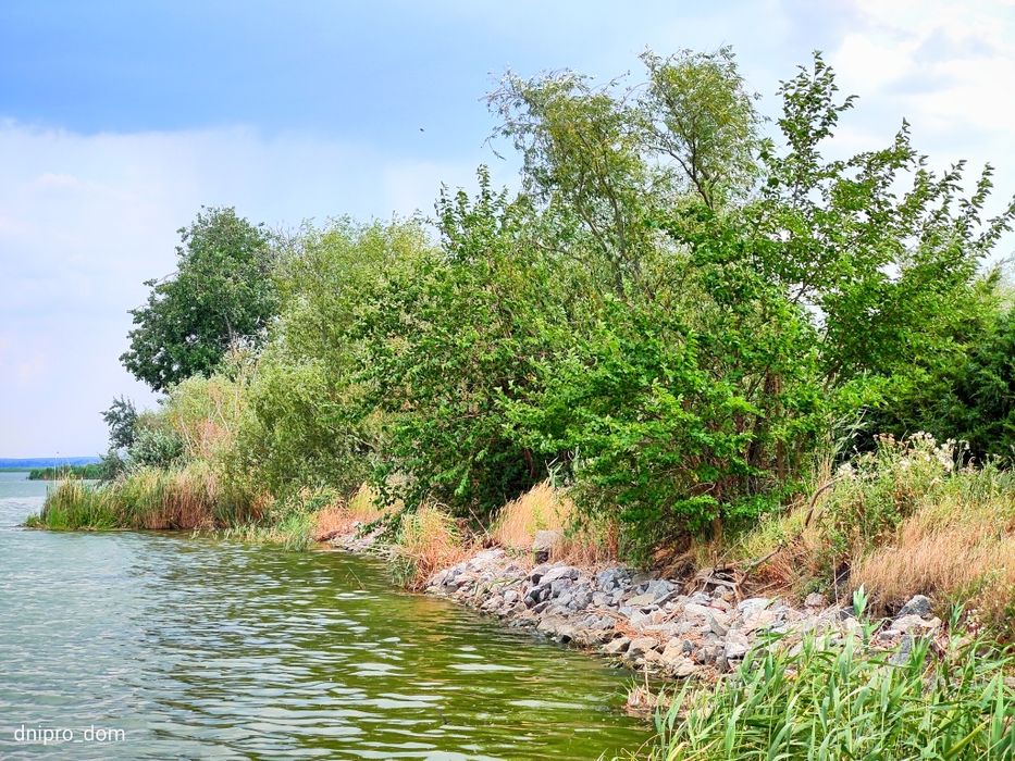 Продам турбазу с участком 4,6 га с берегом Самара Подгородное Sun Ray