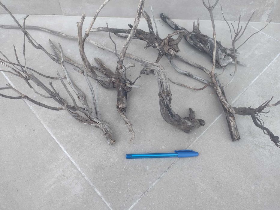 Botânicos e Troncos para Aquário (faço envios)