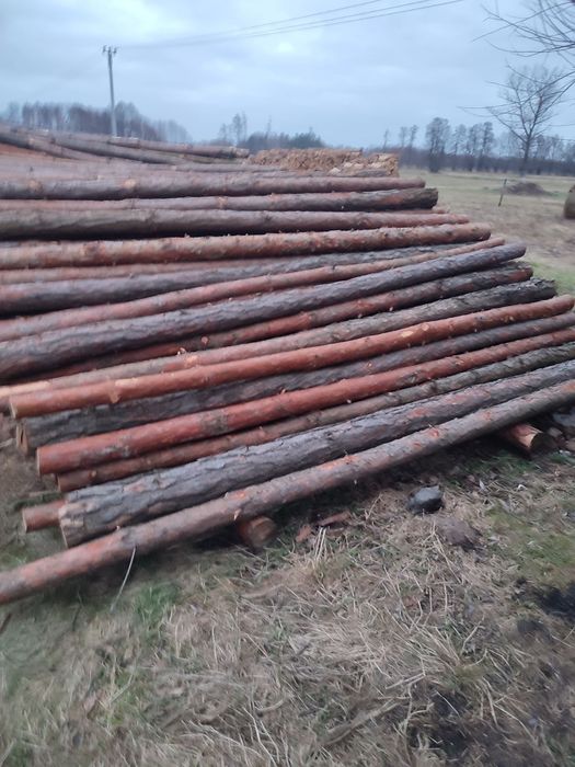 Stemple budowlane 3m sosnowe nowe