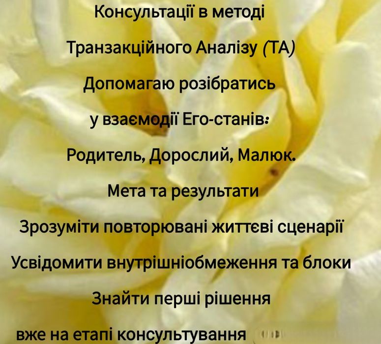 Спеціаліст, Консультант