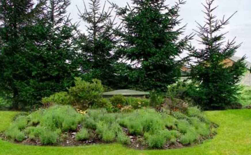 Instalacja zbiornikowa na gaz płynny (propan)- zbiornik (butla) LPG