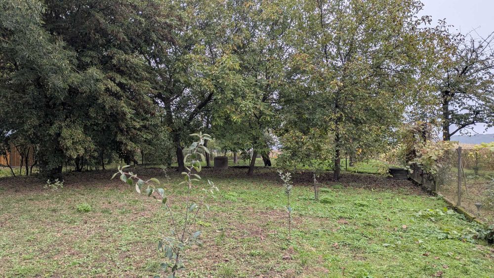 Sprzedam nieruchomość o pow. 1,76 ha z domem w Wacławicach