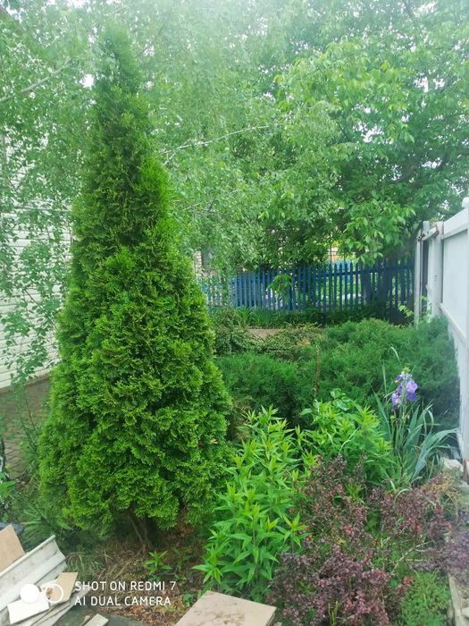 Продам будинок в передмісті Одеси