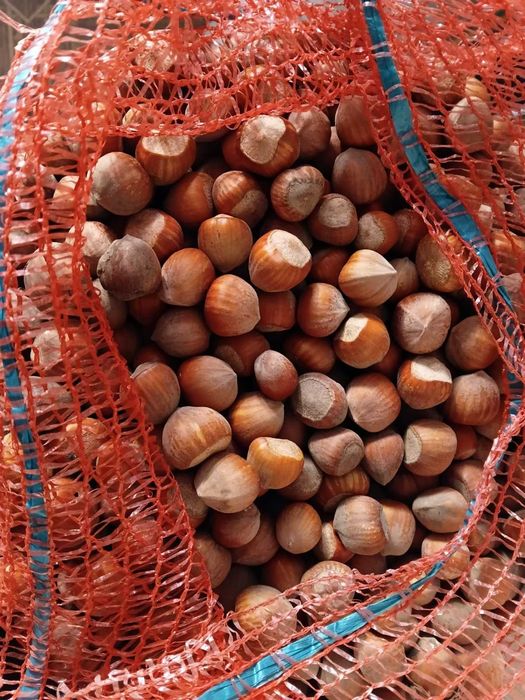 Горіхи  Фундука ()