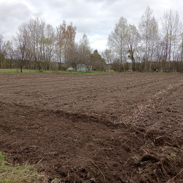 Гарний участок на Смоківці