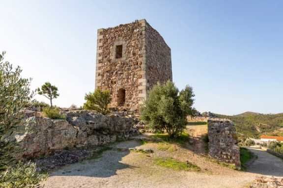 Terreno de 30.320 m² com Potencial Construção de Moradia + Olival