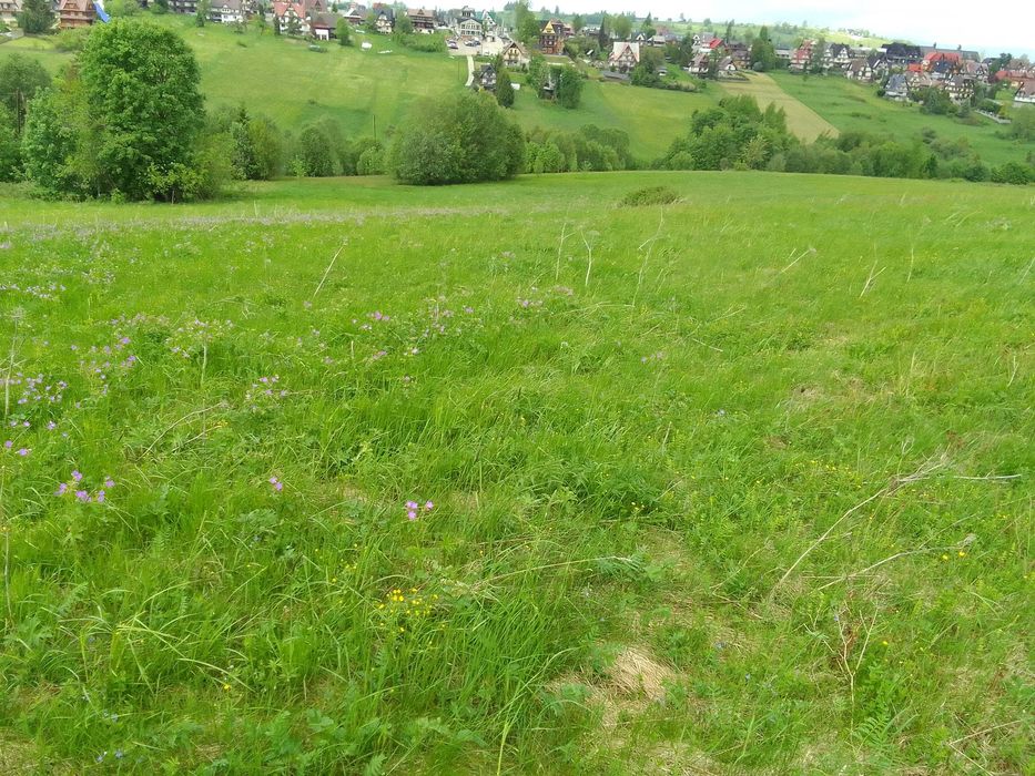 działka rolna Bukowina Tatrz.