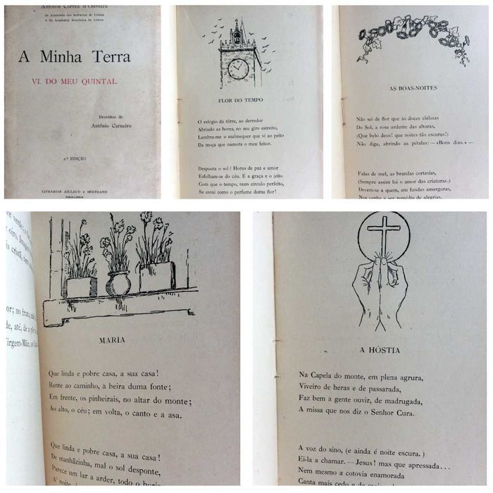 Livros com excelentes valores. Lote 24