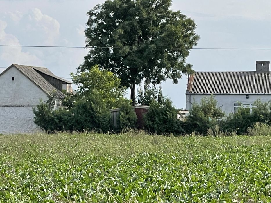 Dom – Przylaski - Widok 3