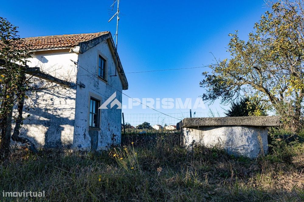 Quintinha T2+1 para Venda em Lardosa