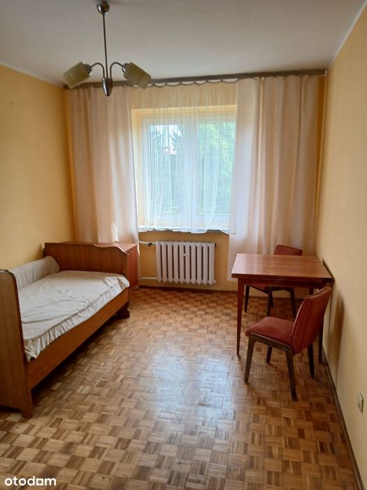 Zdjęcie 8