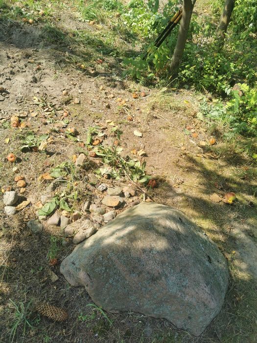 Oddam duże kamienie