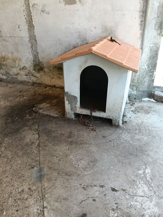 Casota cão cimento