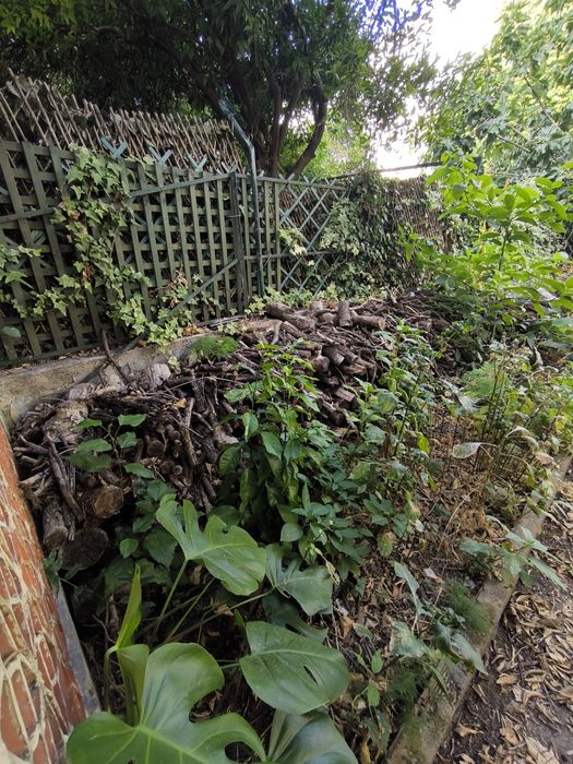 Limpeza de Casas com Acumulação de Objetos e Lixo