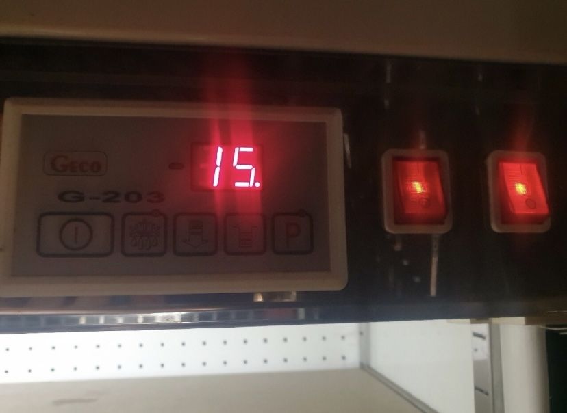 Lodówka wolnostojąca