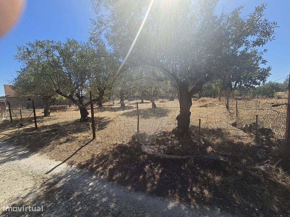 Terreno  para venda