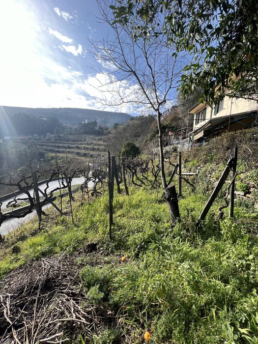 Casa Tradicional + Terreno