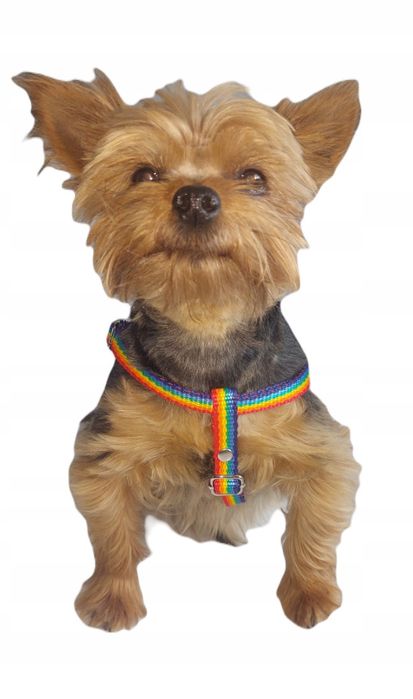 szelki dla małego psa ml 35/57 ozdobne sunka ultra