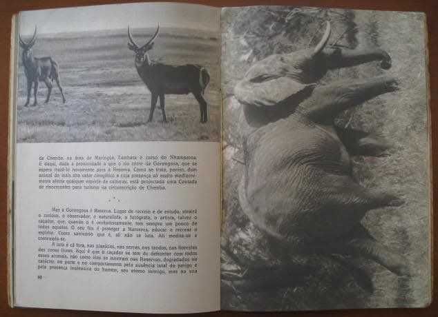 CAÇA EM MOÇAMBIQUE - Porto 1952 Muito Raro