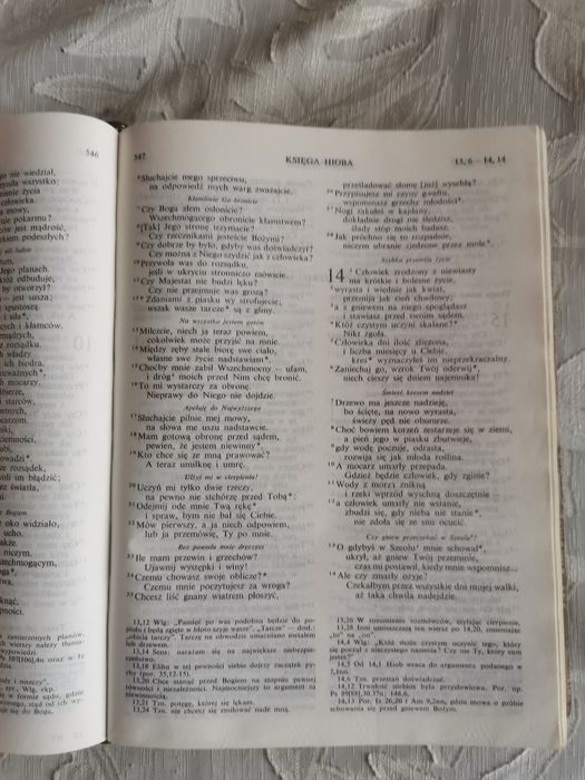 Pismo Święte Starego i Nowego Testamentu wyd. Pallottinum, 1980