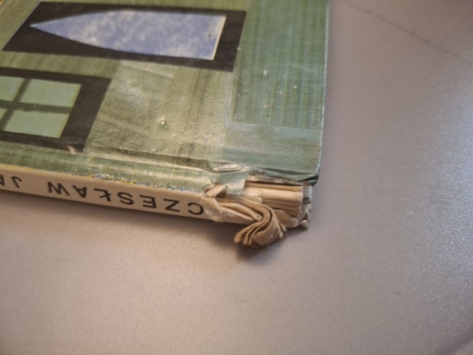 Nowi Przyjaciele Misia Uszatka, Miś Uszatek  1963