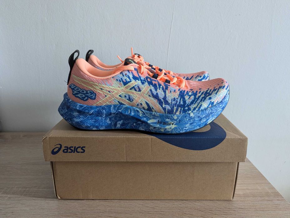Buty męskie do biegania Asics Noosa Tri 16 r. 42